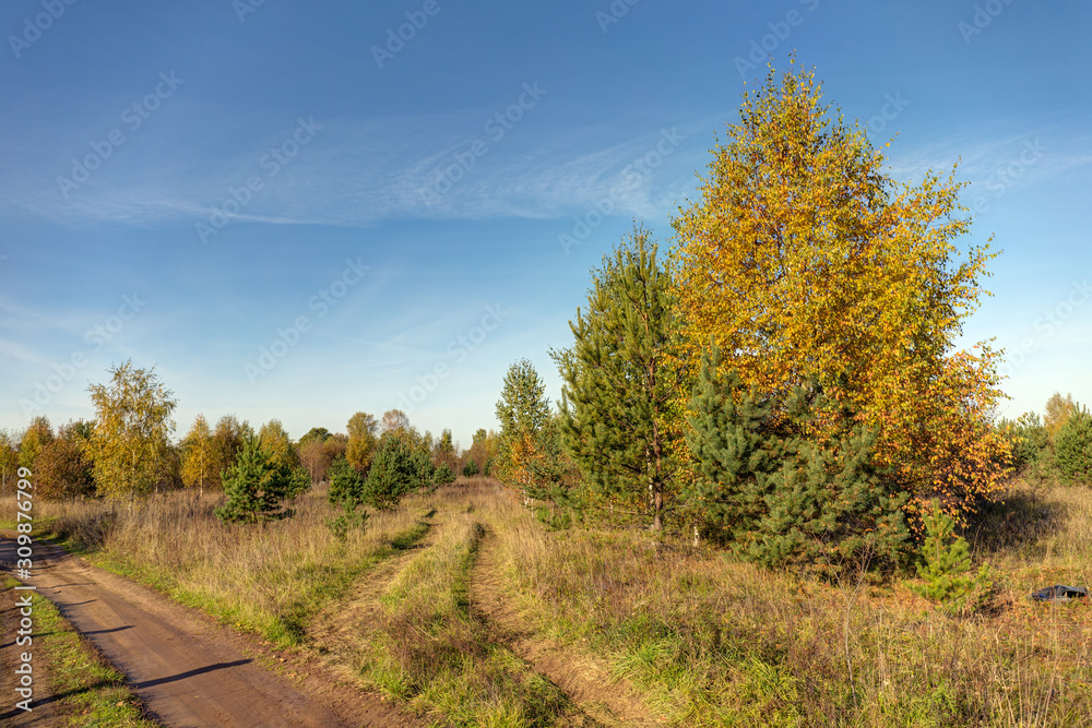 sunny autumn landscape