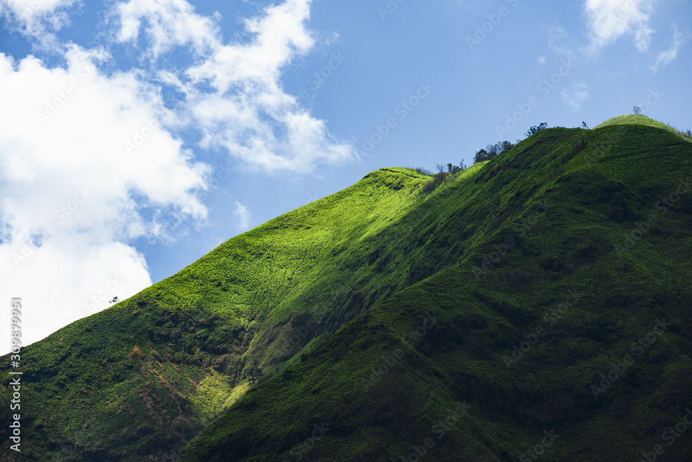 Stunning view of a green mountain range illuminated during a sunny day. Cemoro Lawang, east Java, Indonesia. Stunning view of a green mountain range illuminated during a sunny day. Cemoro Lawang, east Java, Indonesia.