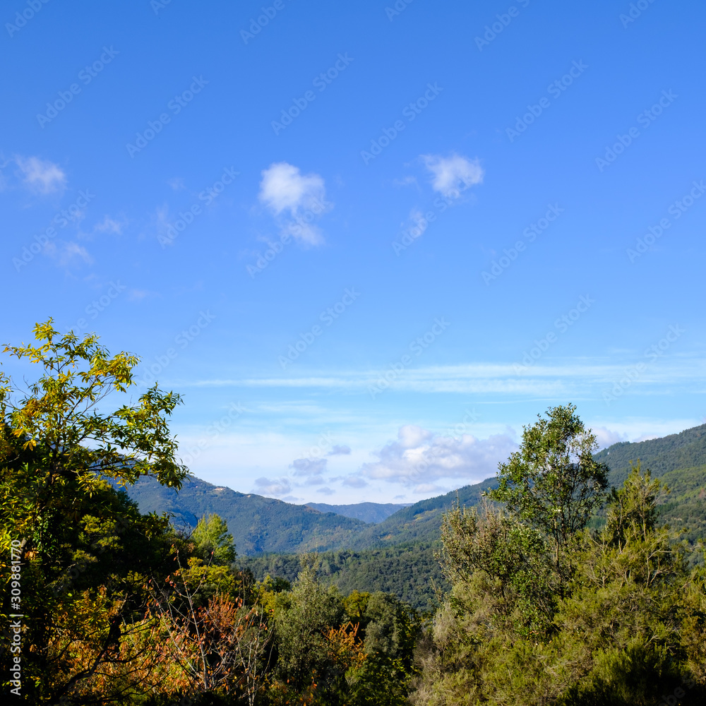 Solid blue sunny sky on a green mountain landscape in Catalan Pyrenees mountains