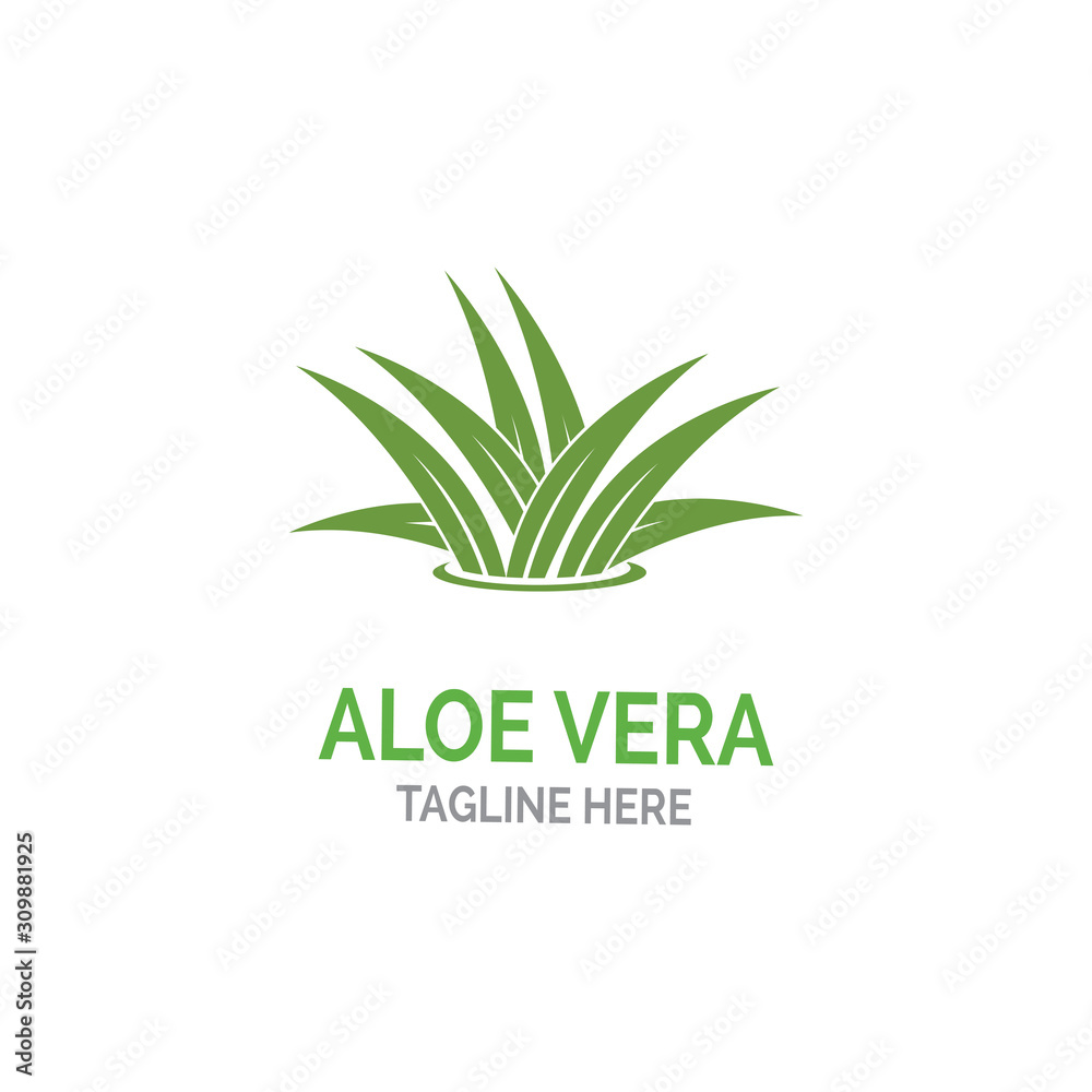 Fototapeta premium Aloe vera logo vector illustration template
