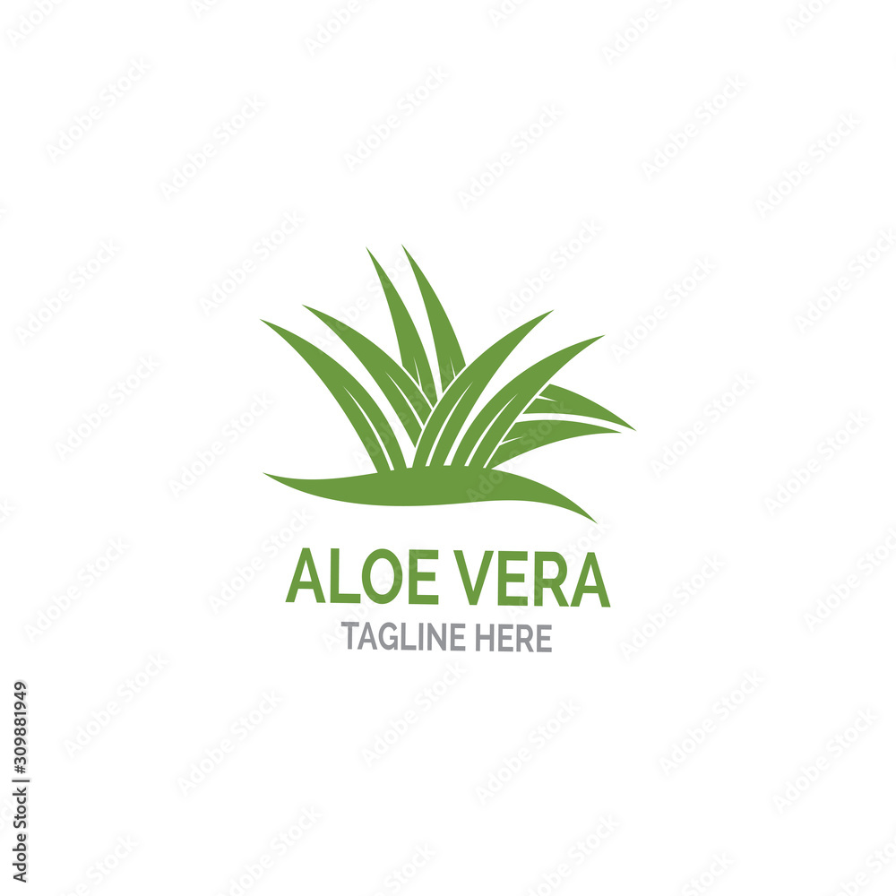 Aloe vera logo vector illustration template Aloe vera logo vector illustration template