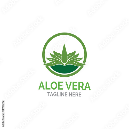 Aloe vera logo vector illustration template