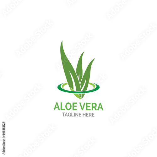 Aloe vera logo vector illustration template