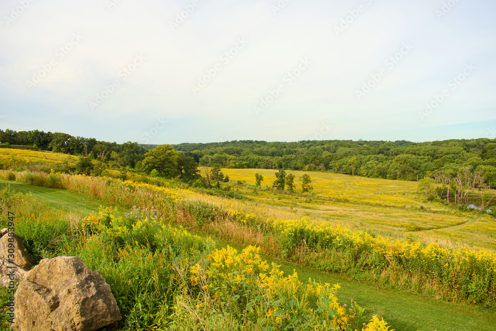 Fototapeta premium Iowa
