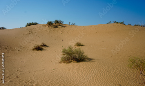 THAR DESERT