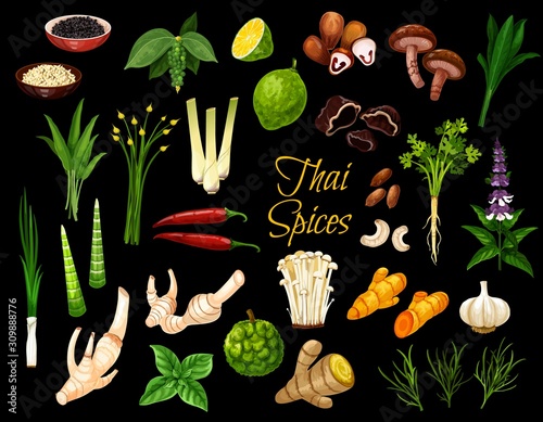 Cooking spices, Thai cuisine herbs and seasonings. Vector Thailand spices, condiments ans herbal flavorings, ginger root, lemongrass and kaffir lime, coriander, lotus and shiitake mushrooms