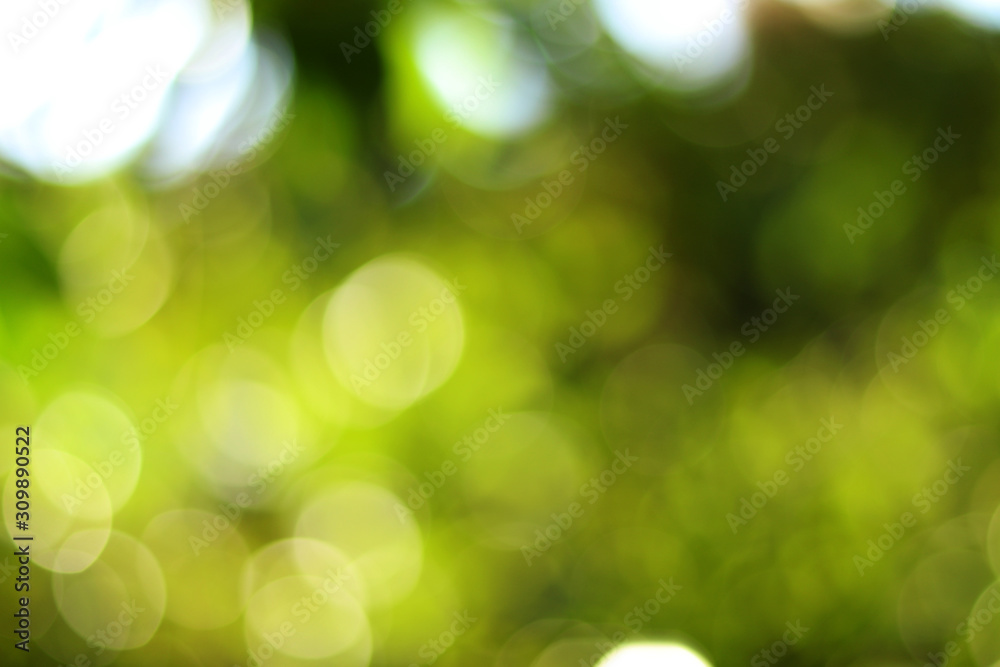 abstract pattern green bokeh nature background spring and soft sun light and leaf green with light blur. green background design banner texture or wallpaper abstract pattern green bokeh nature background spring and soft sun light and leaf green with light blur. green background design banner texture or wallpaper
