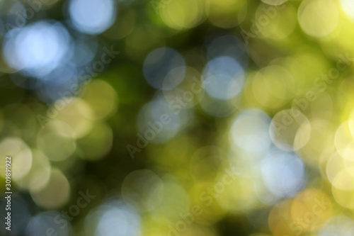 abstract pattern green bokeh nature background spring and soft sun light and leaf green with light blur. green background design banner texture or wallpaper 