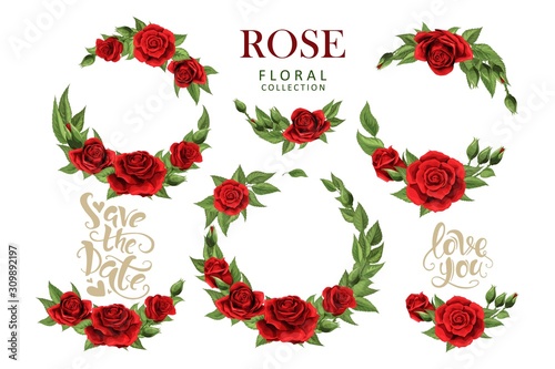 Red roses hand drawn illustration elements colored set isolated on white