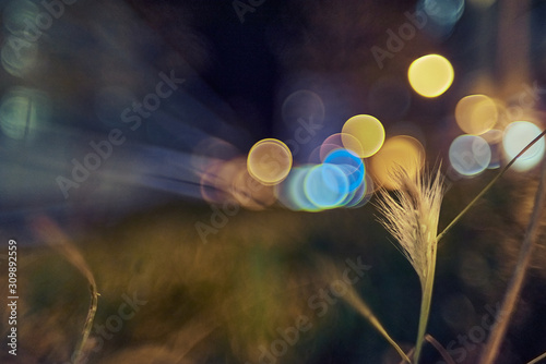 Photos flower and city night lights with creative and colorful bokeh with bubbles on th