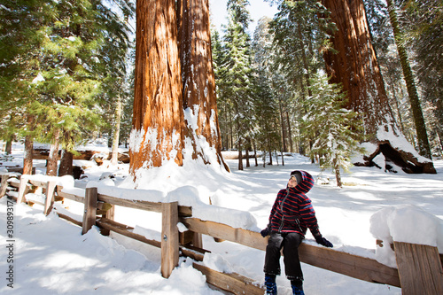 kid in sequoia national park