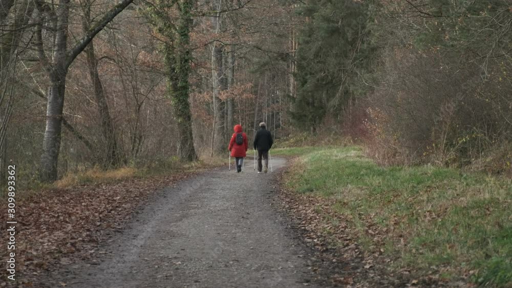 Happy elderly couple walking with trekking poles in the woods along a forest path in Germany Happy elderly couple walking with trekking poles in the woods along a forest path in Germany