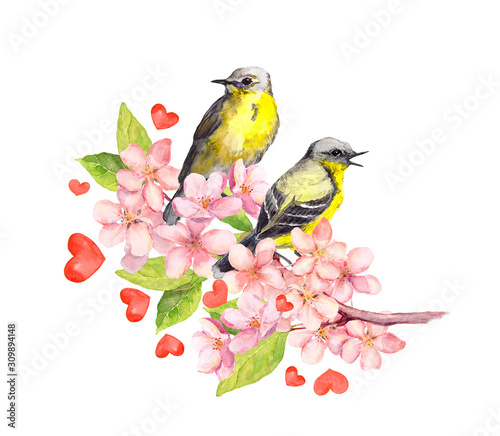 Birds couple on spring twig with flowers and hearts. Watercolor for Valentine day