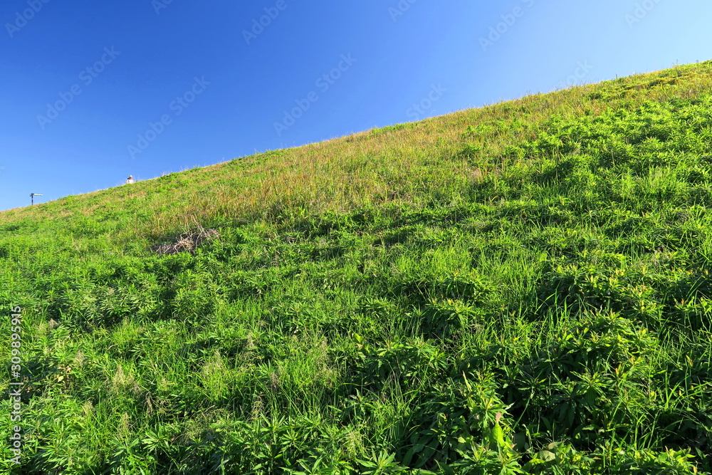 冬の江戸川土手風景 冬の江戸川土手風景