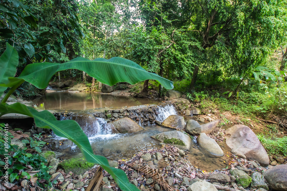 Obraz premium Kathu Waterfall in the tropical forest area In Asia, suitable for walks, nature walks and hiking, adventure photography Of the national park Phuket Thailand,Suitable for travel and leisure.