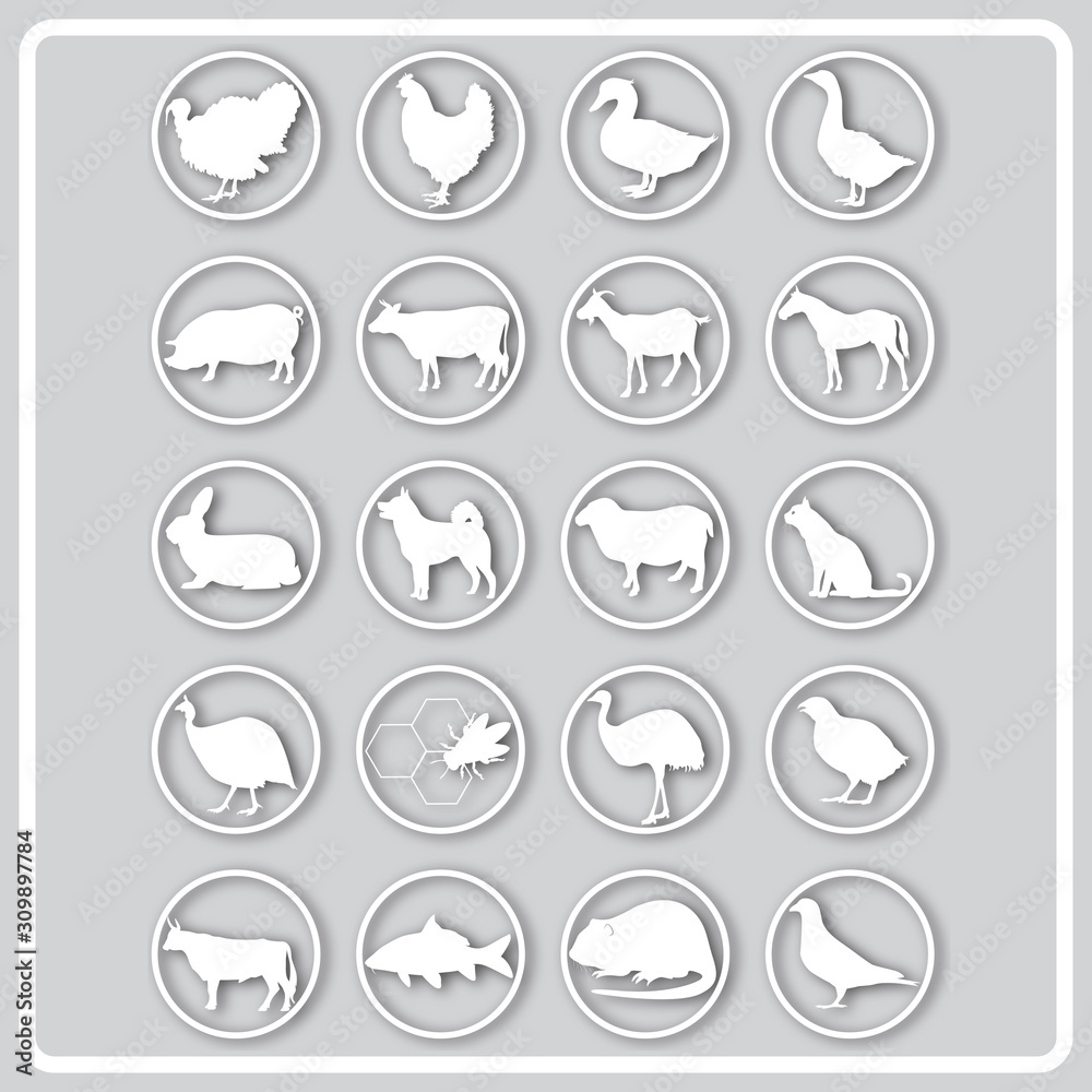 gray icon with white silhouettes of pets