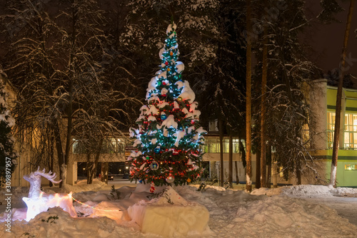 New Year tree in the park on a winter night © Konstantin