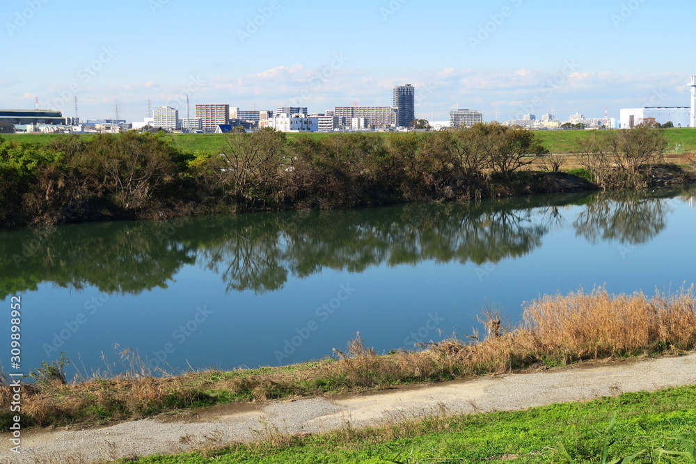 水面に木立を映す冬の江戸川風景 水面に木立を映す冬の江戸川風景