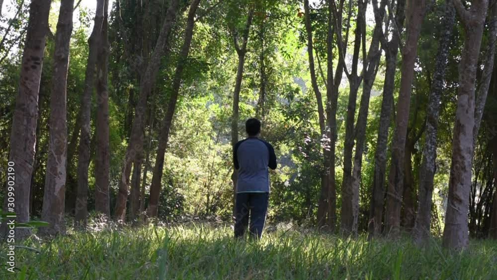 Slow motion video of a man take photo of green tree in the morning, A man walk in the green forest, Relaxing with nature with sunrise Slow motion video of a man take photo of green tree in the morning, A man walk in the green forest, Relaxing with nature with sunrise