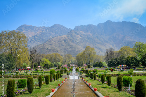 Nishat Garden, Srinagar, India photo