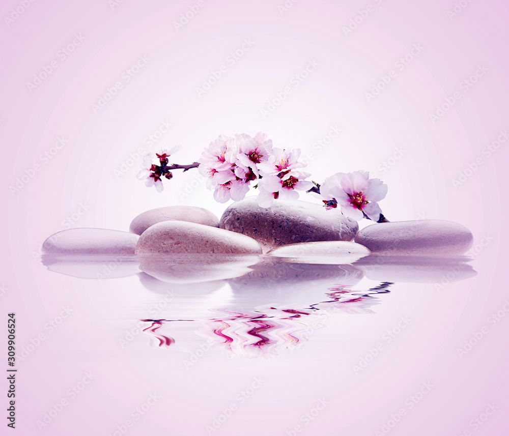 spa de flores y piedras sobre agua en fondo rosado foto de Stock | Adobe  Stock