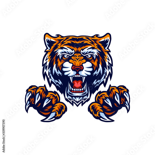 Vector illustration of tiger and claws