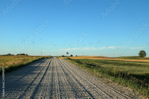 The picture from the Lithuaunian countryside taken in the nice summer showing the gravel road and the countryside. 