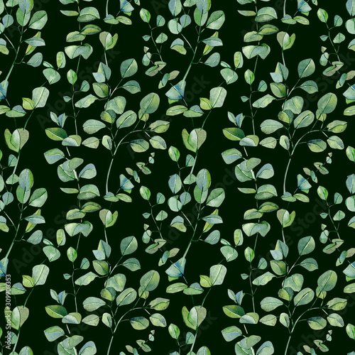 Watercolor hand painted silver dollar eucalyptus seamless pattern . Greenery branches and leaves isolated on dark background. Floral illustration for wrapping paper, print and textile fabric