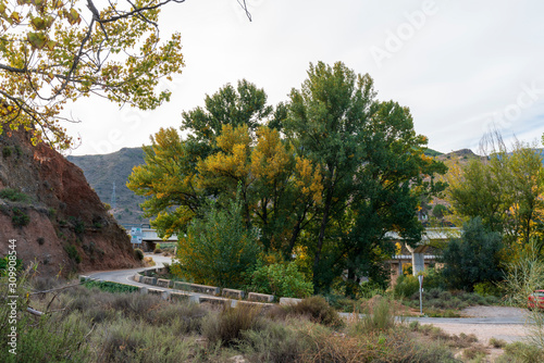 arboles en otoño cerca de Fondon (Almeria) Spain photo