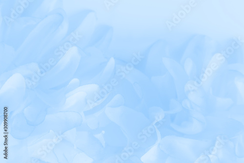 Fototapeta Naklejka Na Ścianę i Meble -  Beautiful abstract color purple and blue flowers on white background and light blue flower frame and purple leaves texture 