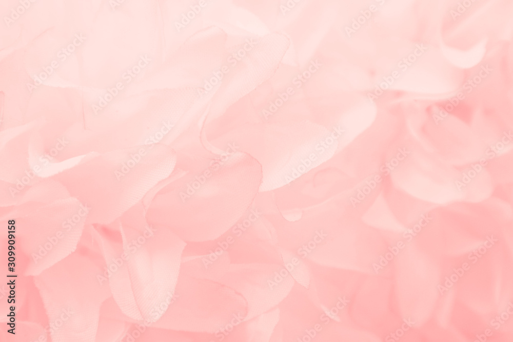 Beautiful abstract color white and pink flowers on white background and white flower frame and orange leaves background texture, flowers banner