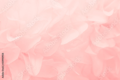 Beautiful abstract color white and pink flowers on white background and white flower frame and orange leaves background texture, flowers banner