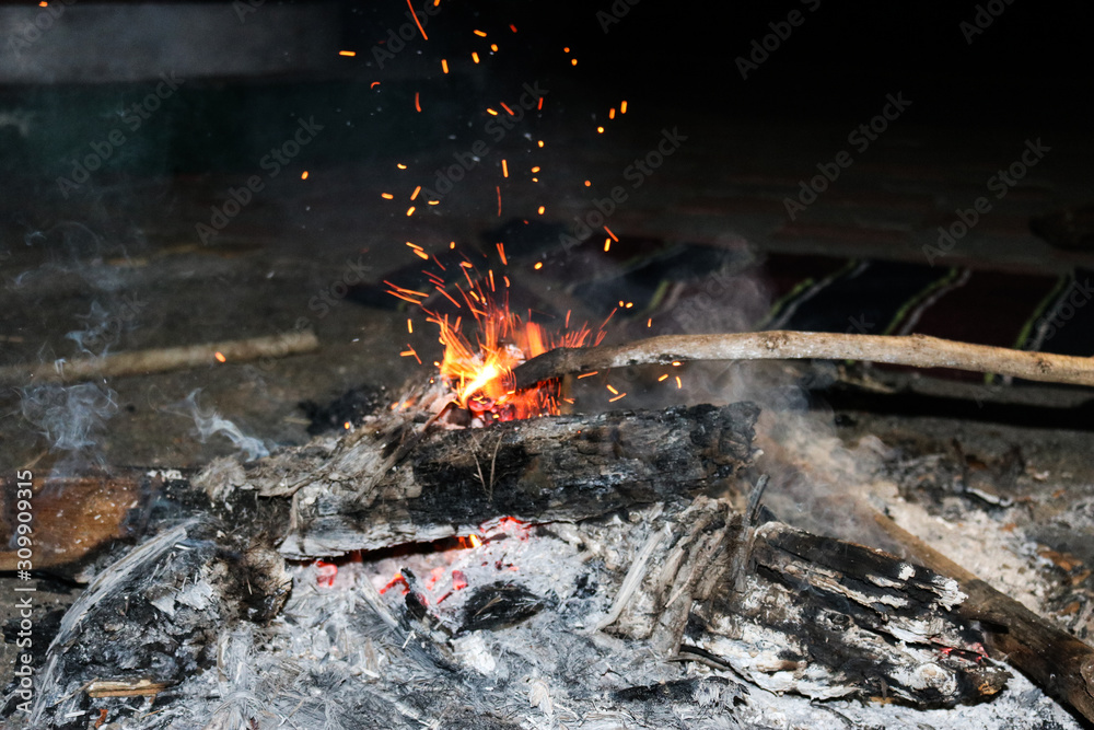 bonfire in to the the forest