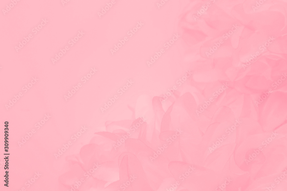 Beautiful abstract color white and pink flowers on white background and white flower frame and orange leaves background texture, flowers banner Beautiful abstract color white and pink flowers on white background and white flower frame and orange leaves background texture, flowers banner