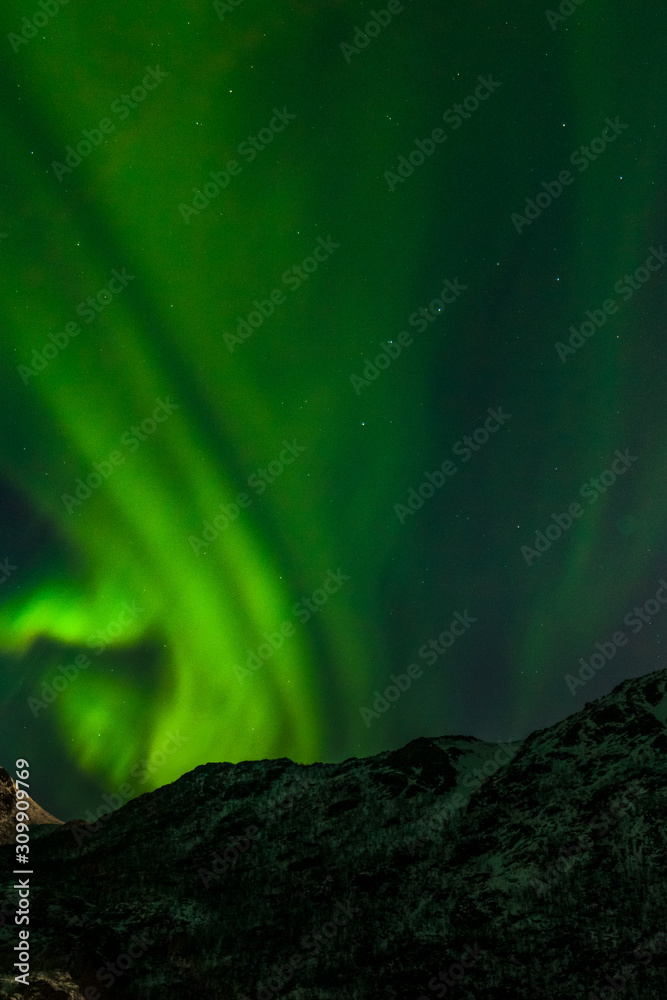 amazing aurora borealis, northern lights, over mountains in the North of Europe - Lofoten islands, Norway