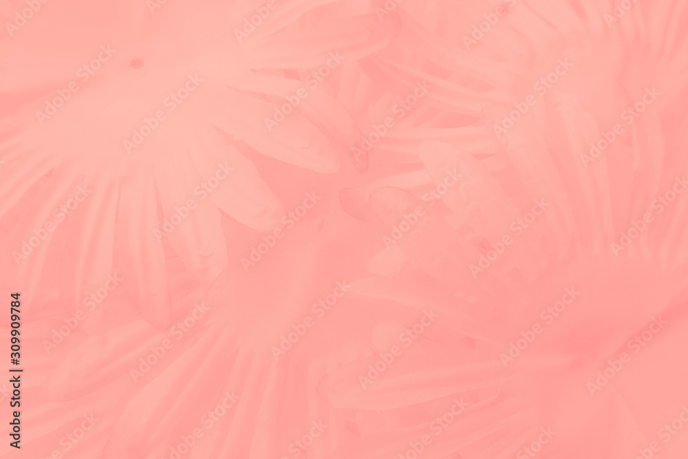 Obraz premium Beautiful abstract color white and pink flowers on white background and white flower frame and orange leaves background texture, flowers banner