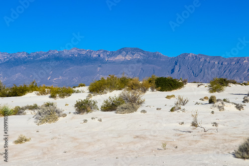 Las dunas de yeso en cuatrocienegas