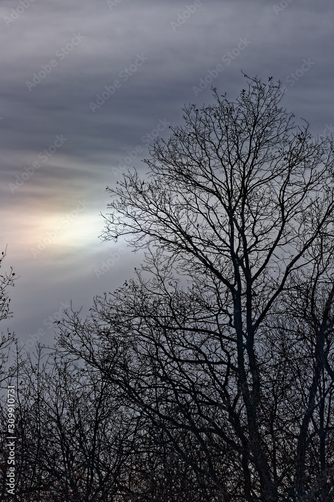 Naklejka premium Nuages d'hiver