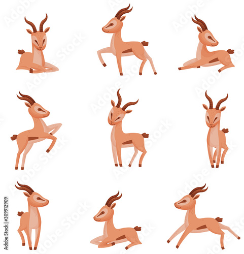 African Wild Brown-tailed Gazelle with Horns Vector Set