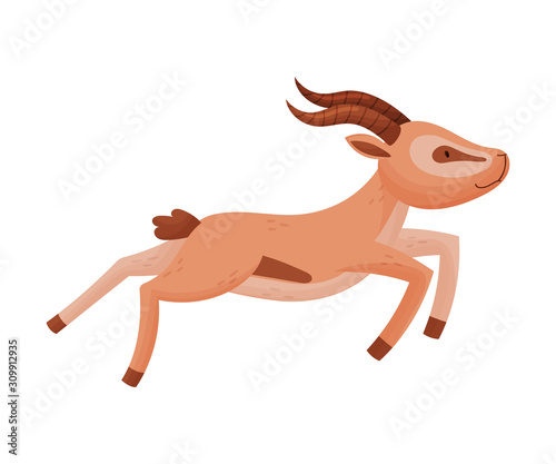 African Wild Brown-tailed Gazelle with Horns Vector Illustration