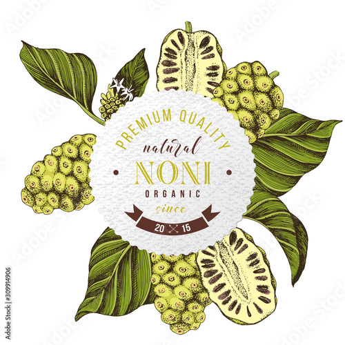 Round emblem with hand drawn noni photo