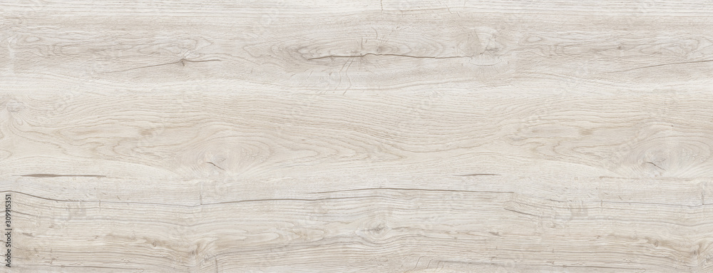 high resolution natural maple wood texture - obrazy, fototapety, plakaty 