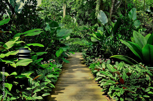 Slatted wooden walkway photo