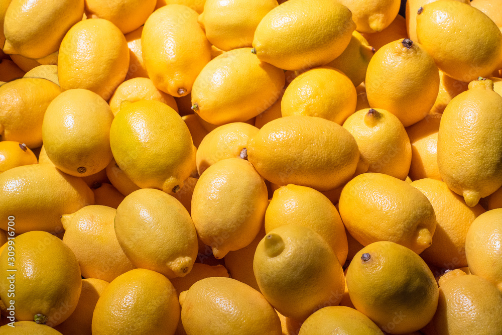 Background of whole lemons. Concept - growing lemons. Citrus family. Background of fruits. Fruits of the lemon tree. Concept - cooking with fresh lemons. Lemon juice. Juice production. Background of whole lemons. Concept - growing lemons. Citrus family. Background of fruits. Fruits of the lemon tree. Concept - cooking with fresh lemons. Lemon juice. Juice production.
