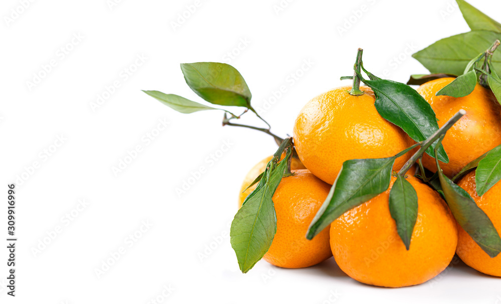 A lot of tangerines with green leaves A lot of tangerines with green leaves