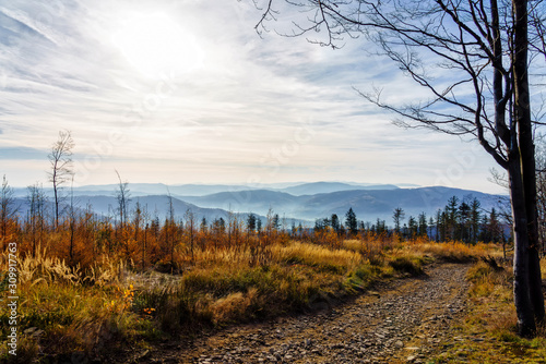 Fototapeta Naklejka Na Ścianę i Meble -  Foliage colors in Polish Beskidy mountains, Beskid Slaski, Poland