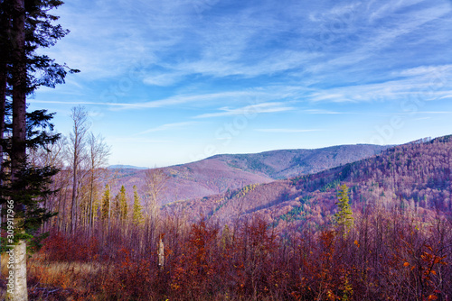 Fototapeta Naklejka Na Ścianę i Meble -  Foliage colors in Polish Beskidy mountains, Beskid Slaski, Poland