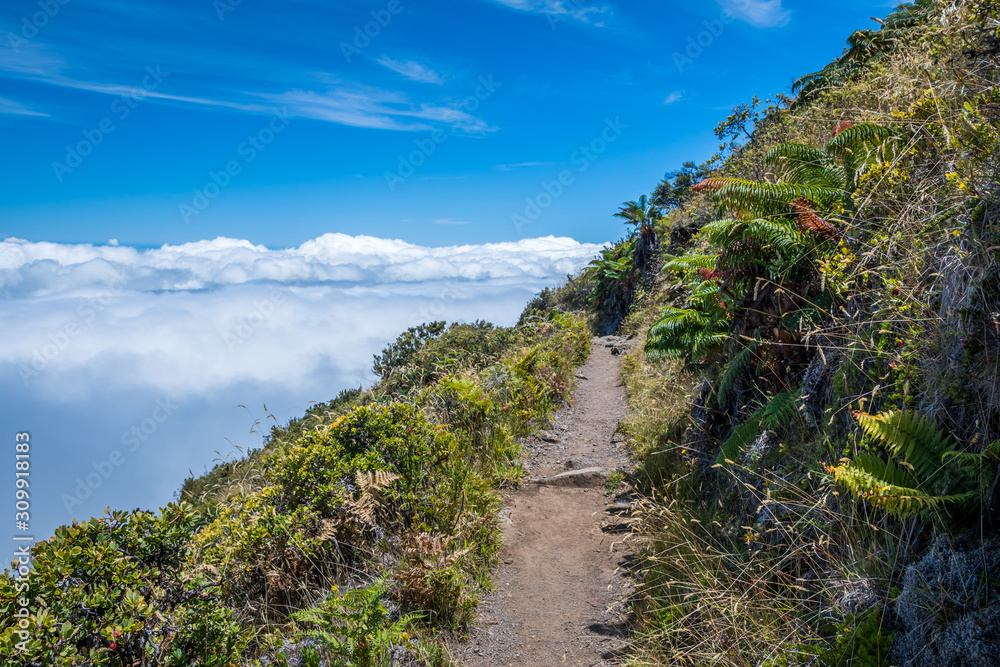 An overlooking view of nature in Maui, Hawaii