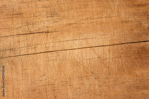 Old wooden texture. Empty background with copyspace