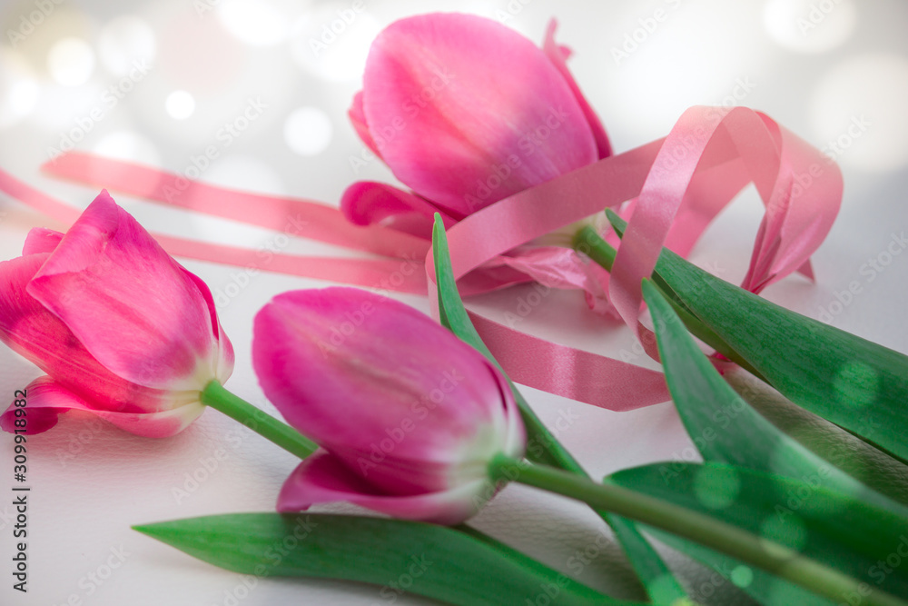 A bouquet of pink tulips for the holiday bandaged with a pink ribbon. A bouquet of pink tulips for the holiday bandaged with a pink ribbon.